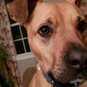 Meet your Posher, Catherine